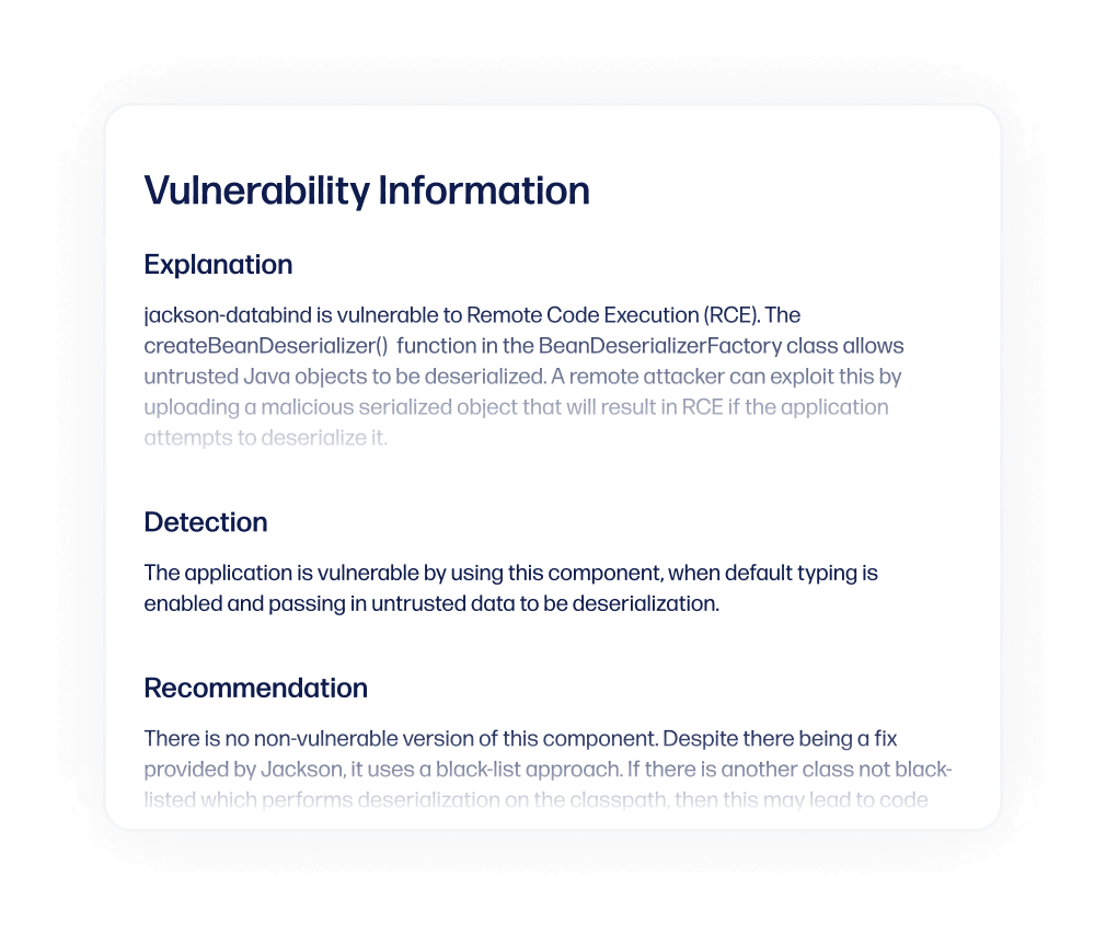 The Vulnerability Information panel detailing a Remote Code Execution (RCE) vulnerability.