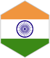 India Flag in branded hex cutout