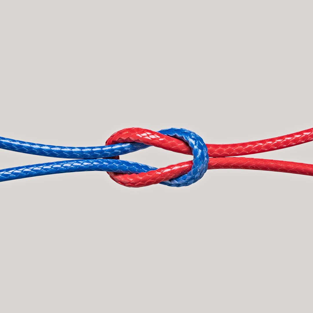 featured image for What Goes Great with SLSA? Sonatype.