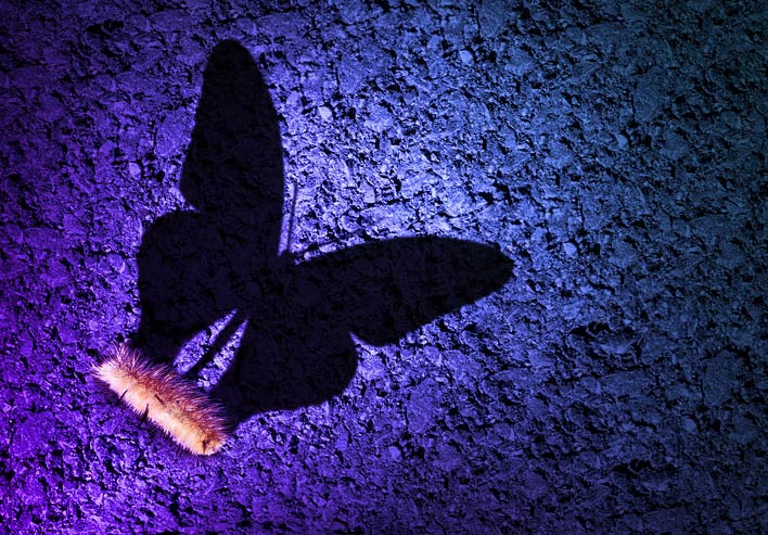 featured image for Software composition analysis: A matter of perspective (and experience)