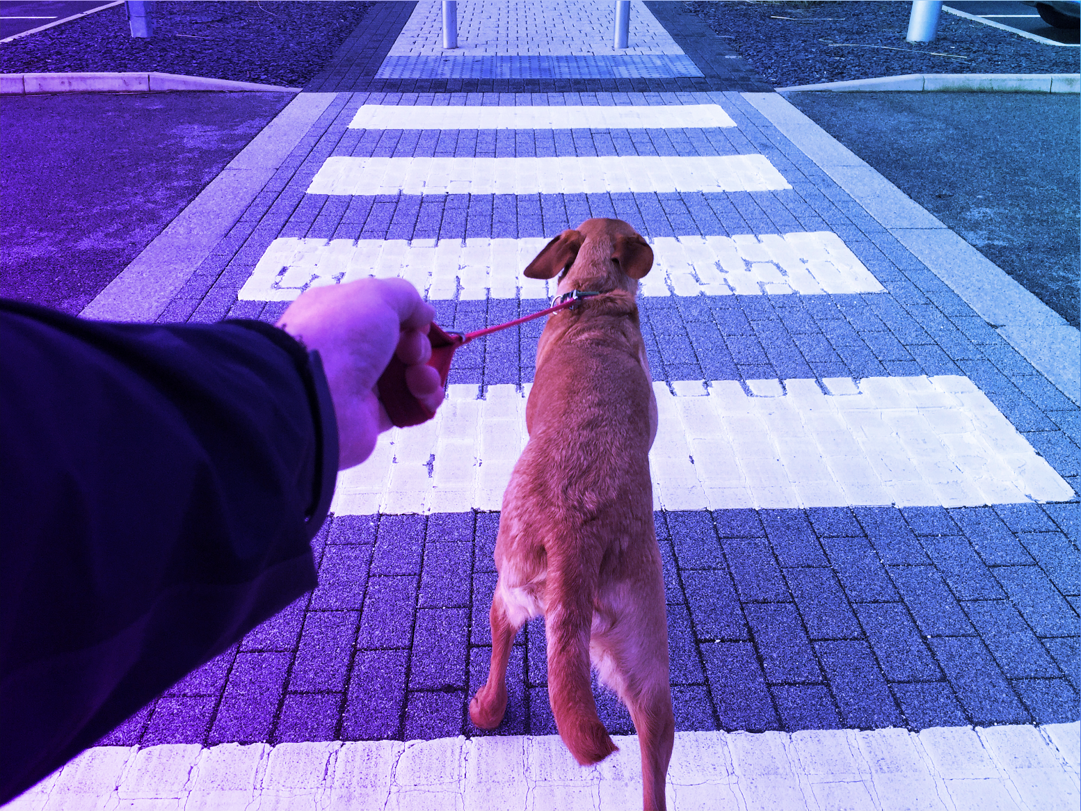 featured image for Keep applications secure in Atlassian Bitbucket with automated pull requests