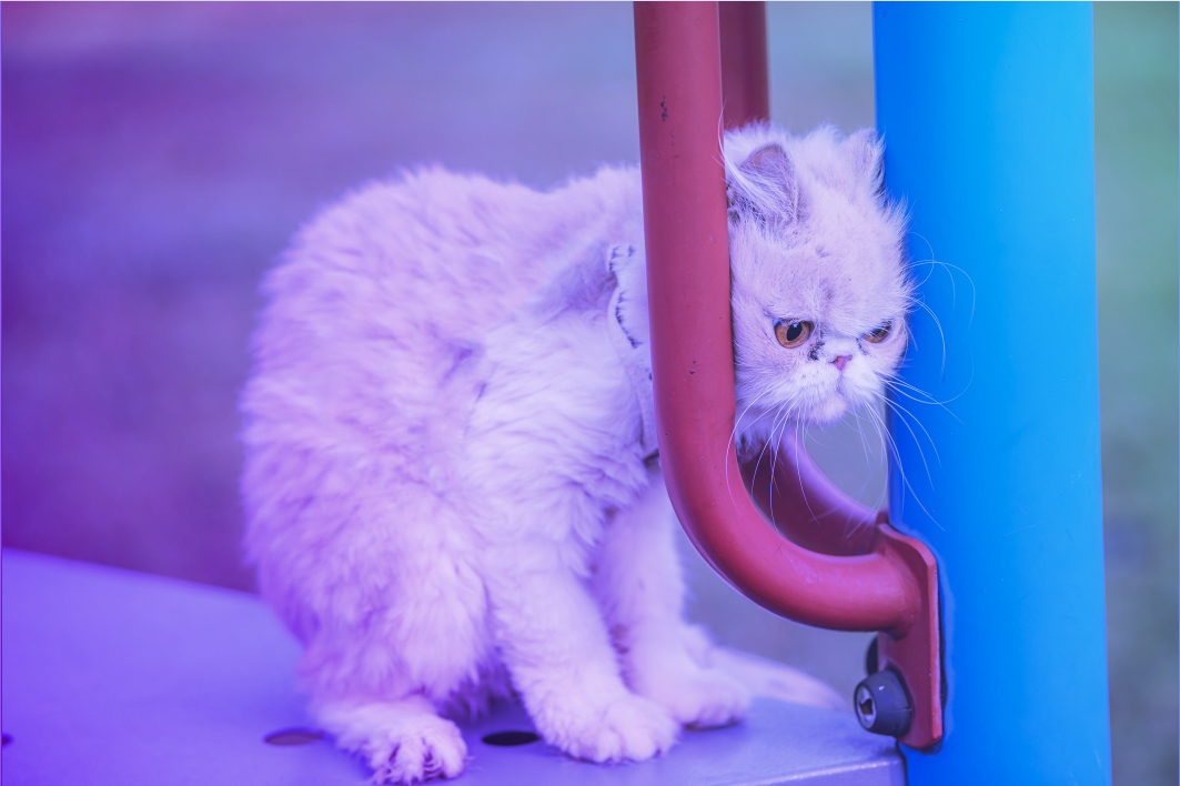 featured image for There's No Nice Way to Say This: Your DevOps Has Gone Horribly Wrong