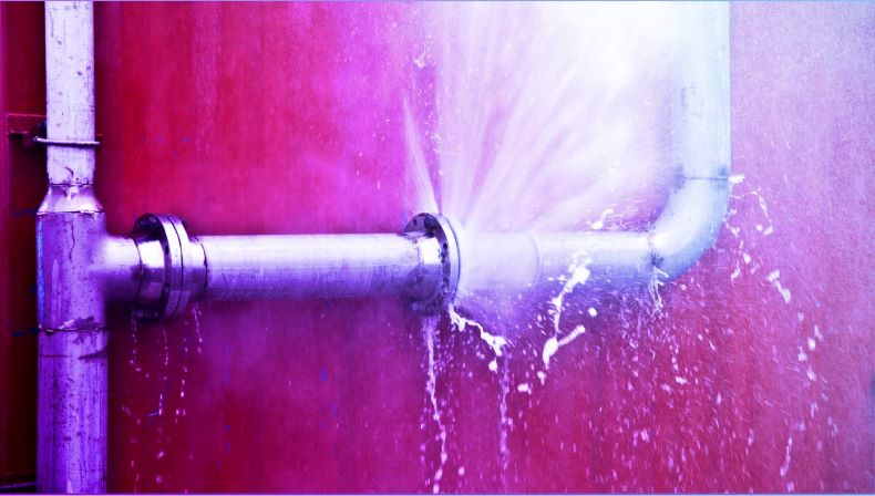 featured image for 26% Acknowledge a Web Application Breach in 2019