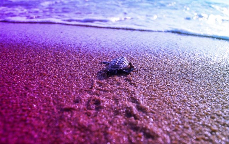 featured image for Build Better Component Practices: Crawl, Walk, Run