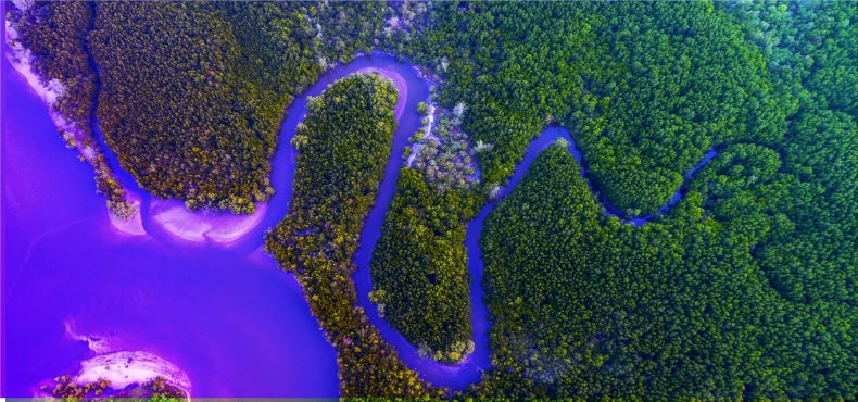 featured image for Dirty rivers flow downstream, leading to dirty reservoirs