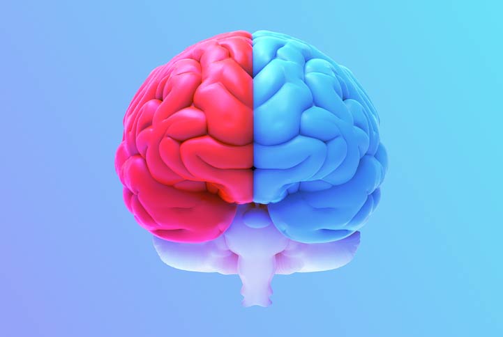 featured image for DevOps culture: The neuroscience of behavior