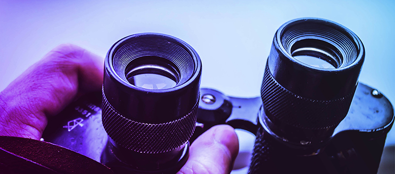 featured image for Search improvements available in Sonatype Nexus Repository 3.14