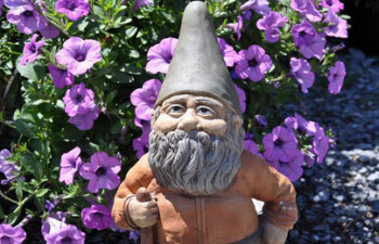 featured image for Walking in the open source component garden