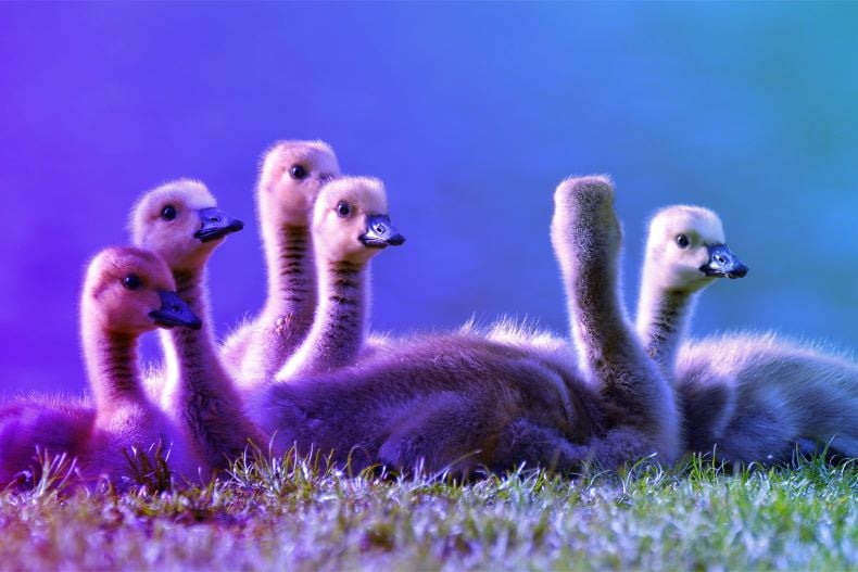 featured image for How to Deploy a Jenkins Cluster on AWS as Part of a Fully Automated CI/CD Platform