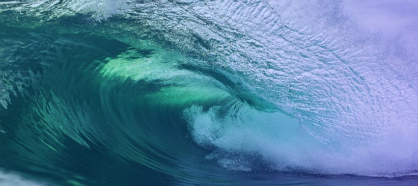 featured image for Forrester recognizes Sonatype as a leader in software composition analysis (SCA)