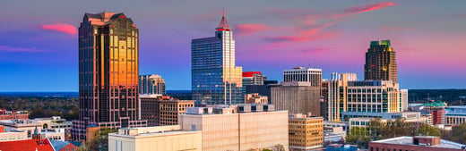 SON_All_Things_Raleigh_Skyline@2x
