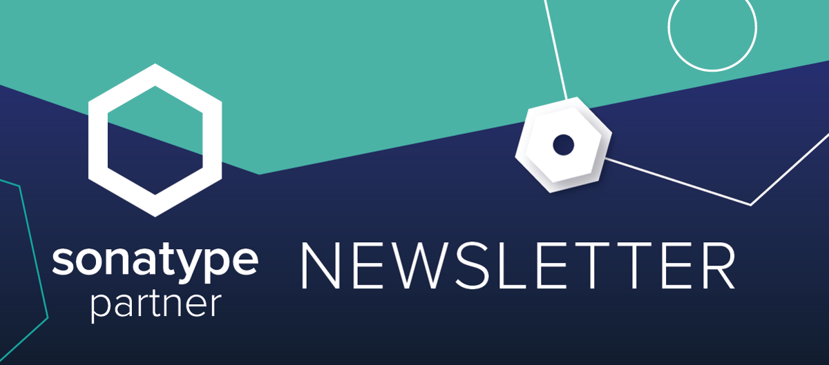 SON_Partner_Newsletter_Header@2x