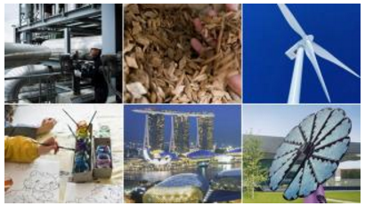 Automating OSS Governance at Scale 