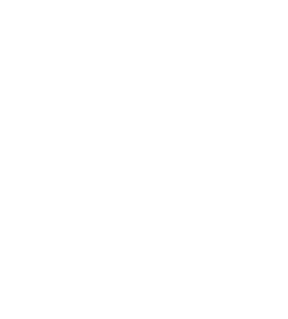 Sonatype Lifecycle