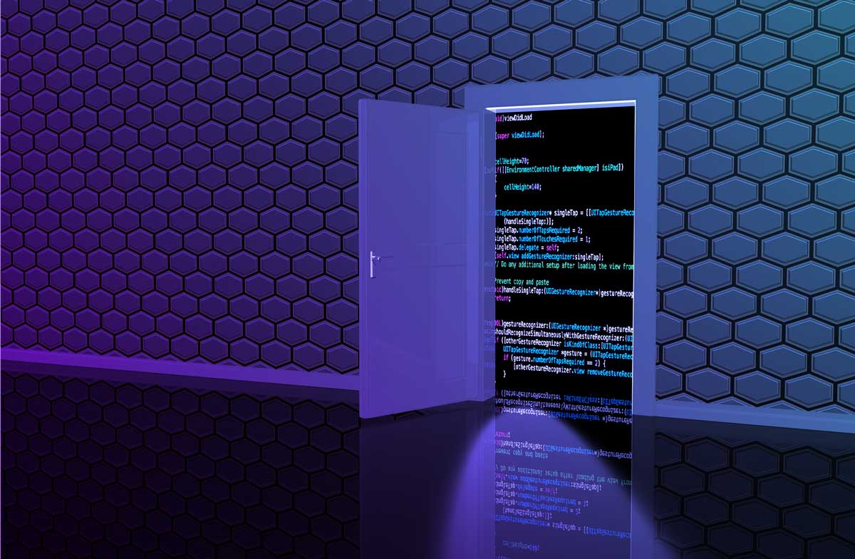 Getting Started With Sonatype Vulnerability Scanner
